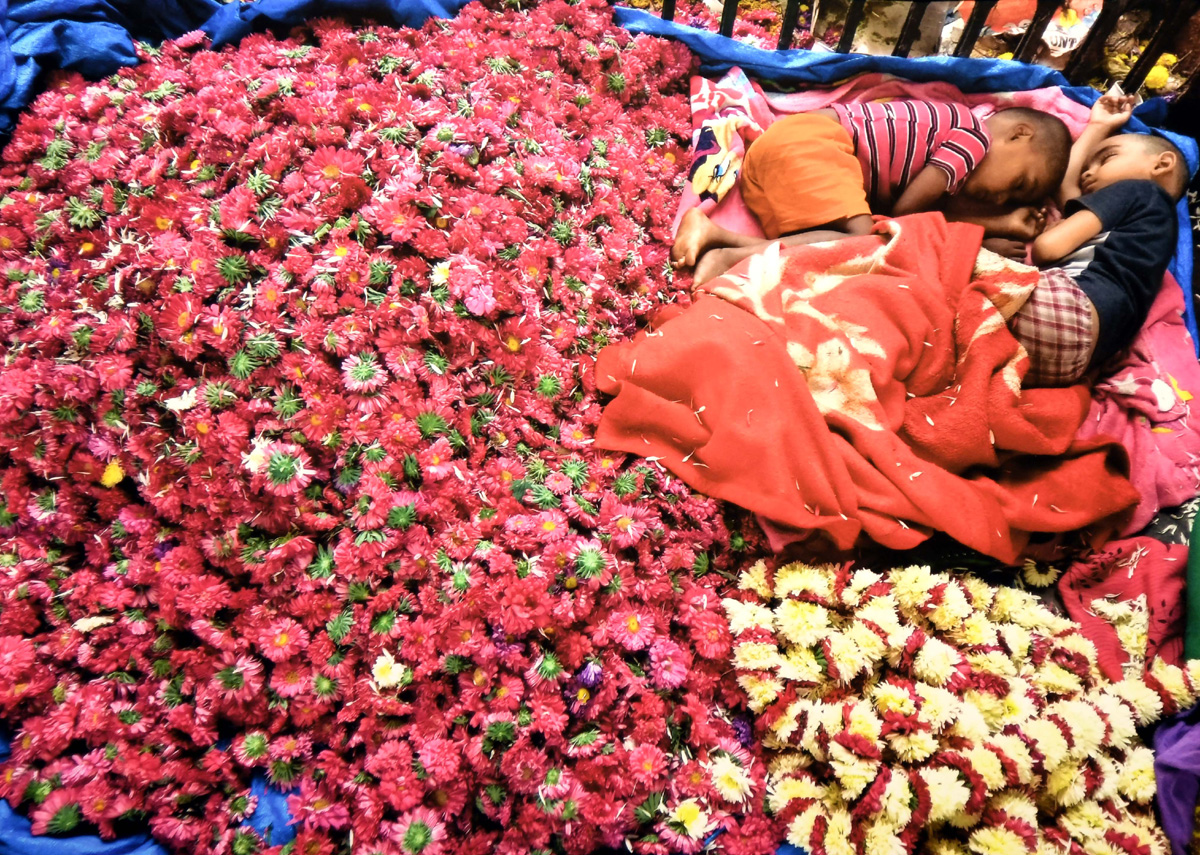 Indian Photo Festival 2022 To Begin In Hyderabad - Sakshi19