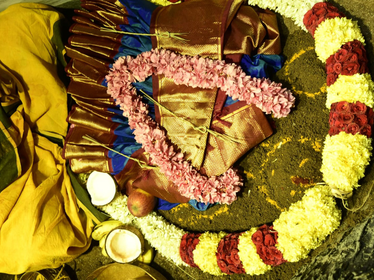 Sri Padmavathi Ammavari Karthika Brahmotsavam 2022  - Sakshi6