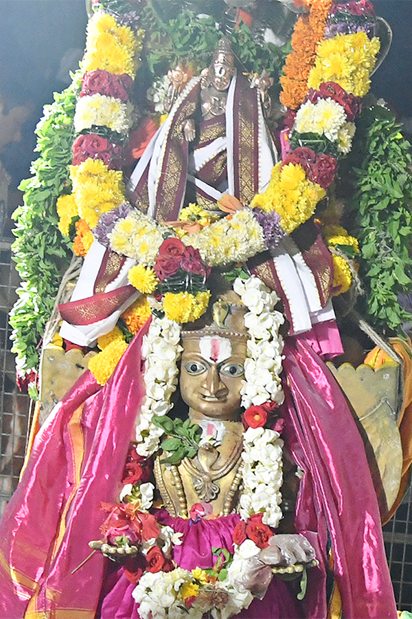 Anantha Padmanabha Kondametla Deepotsavam in Visakhapatnam - Sakshi21