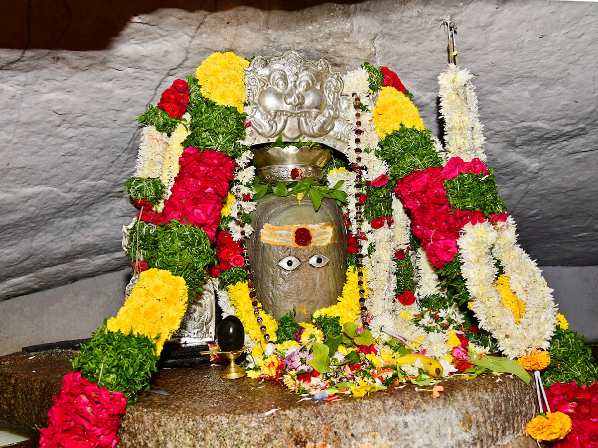 Best Photos of The Week in AP and Telangana Photo Gallery - Sakshi37