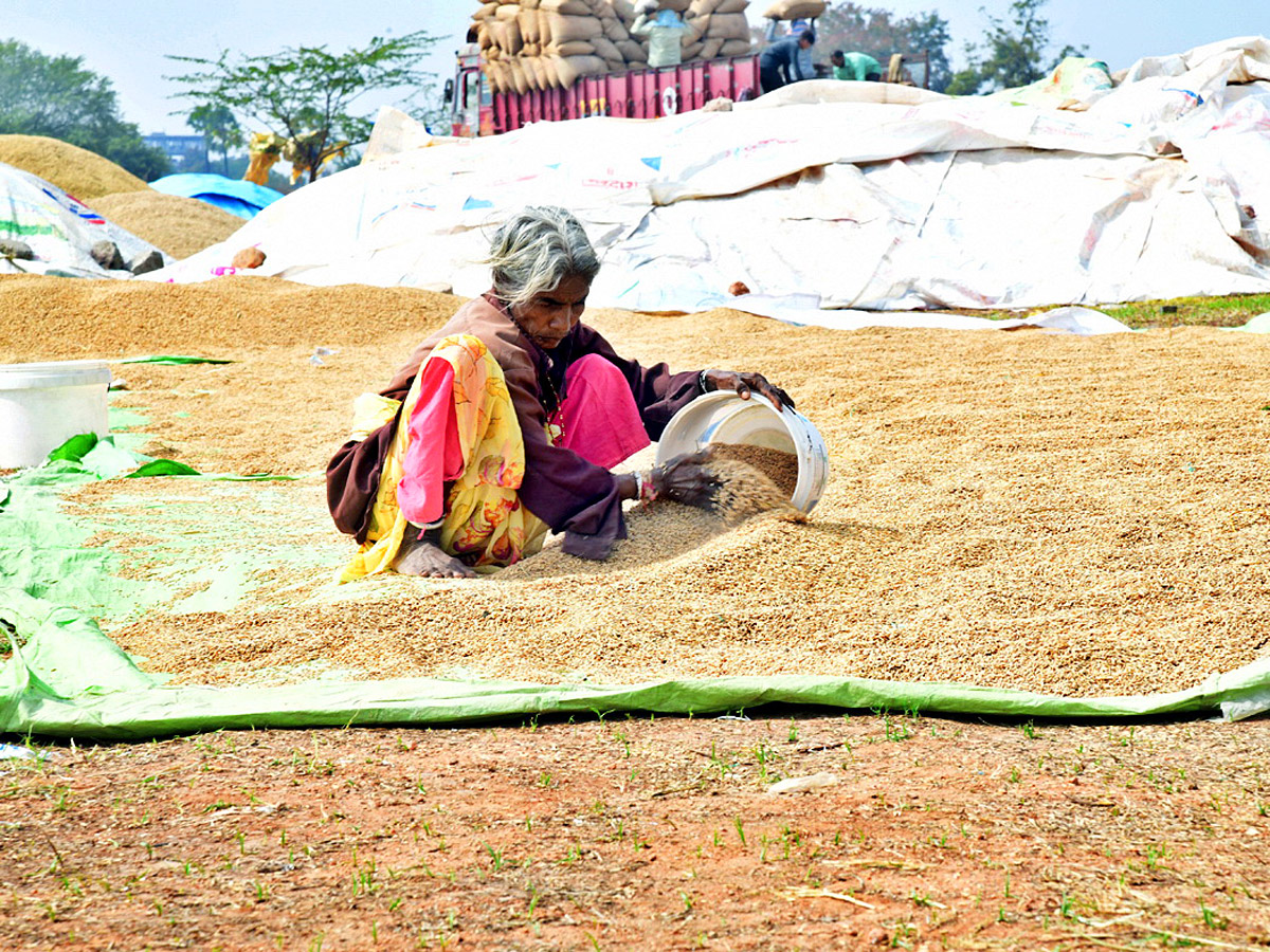 Best Photos of The Week in AP and Telangana Photo Gallery - Sakshi42