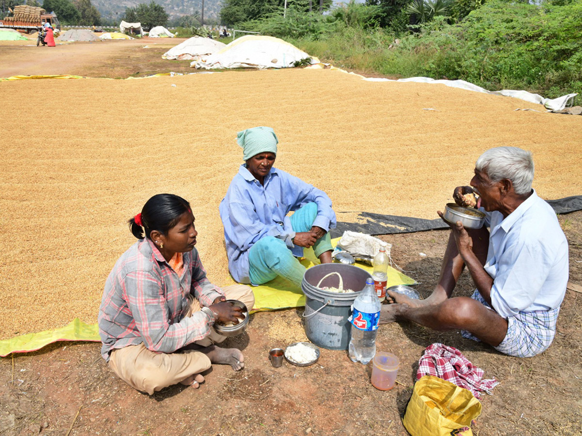 Best Photos of The Week in AP and Telangana Photo Gallery - Sakshi43