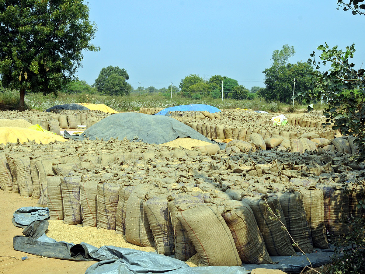 Best Photos of The Week in AP and Telangana Photo Gallery - Sakshi56
