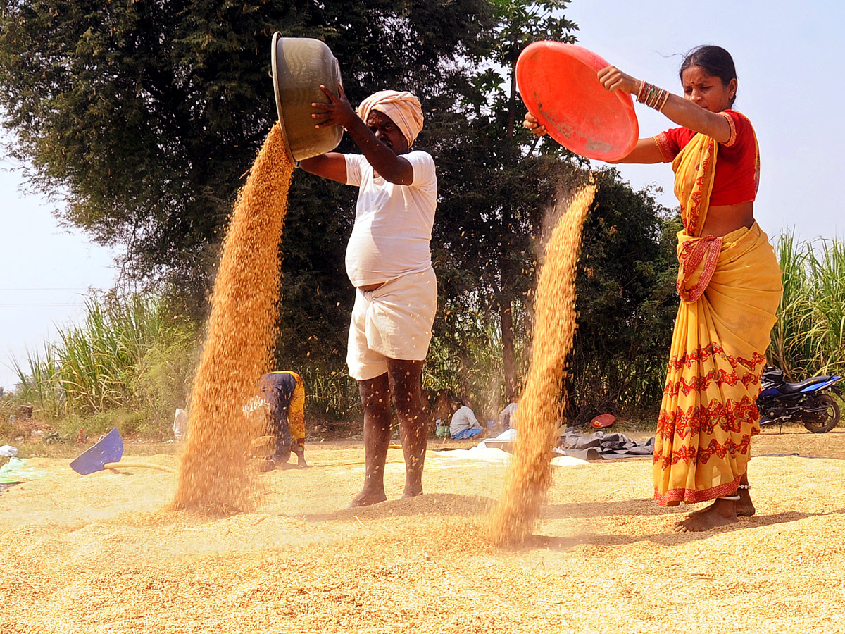 Best Photos of The Week in AP and Telangana Photo Gallery - Sakshi60