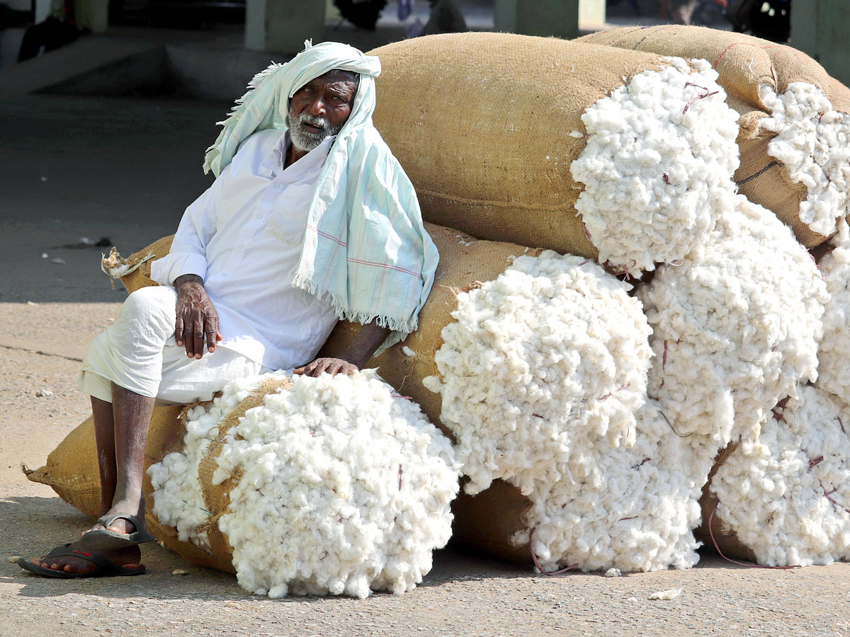 Best Photos of The Week in AP and Telangana Photo Gallery - Sakshi79
