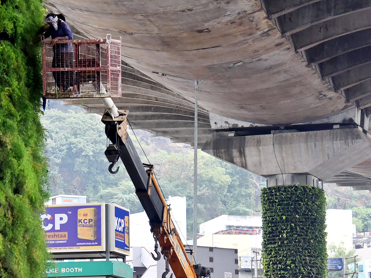 Best Photos of The Week in AP and Telangana Photo Gallery - Sakshi81