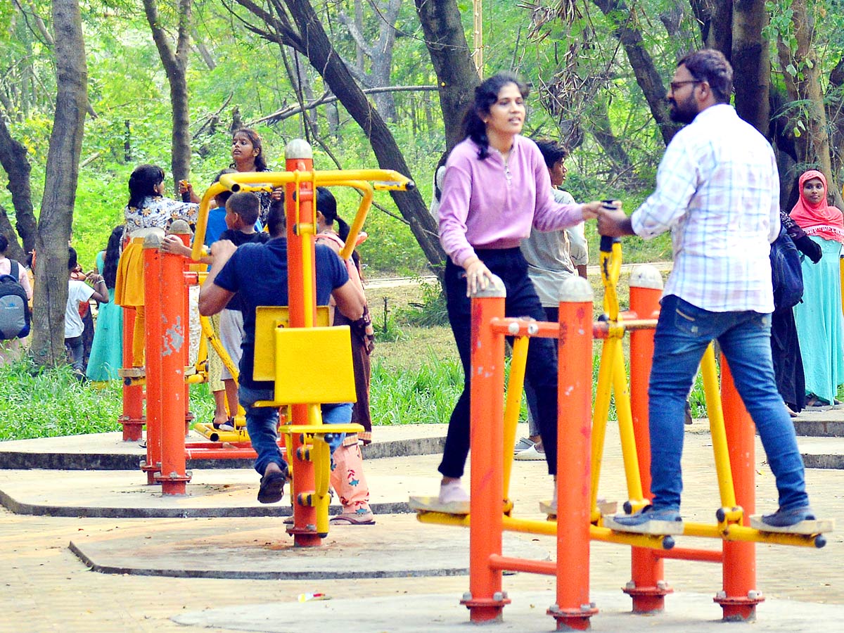 Karthika Masam Special: People Of AP Get Busy With Vana Mahotsavam - Sakshi3