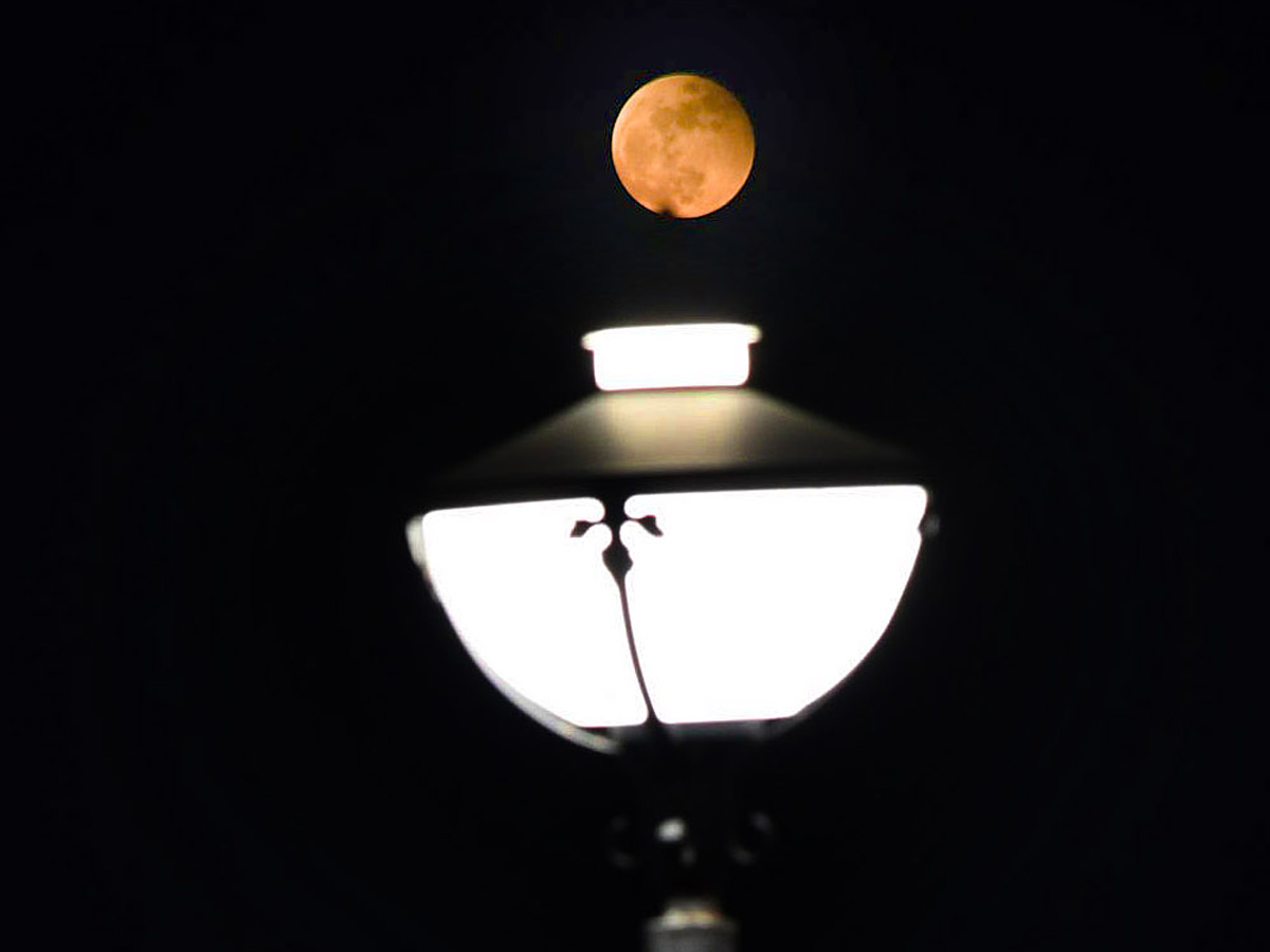 Lunar Eclipse Chandra Grahan 2022 In Telugu States Photos Surfaced - Sakshi24