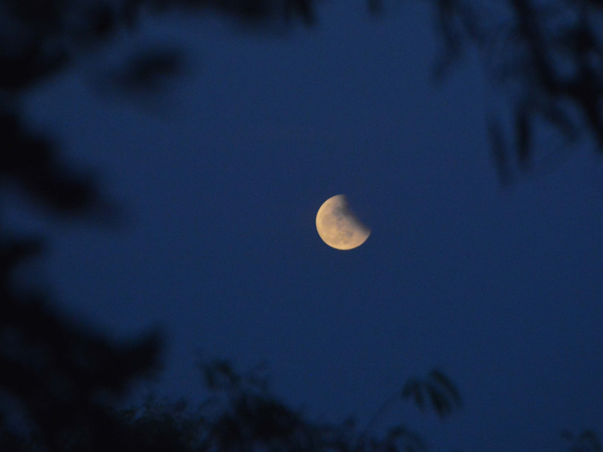Lunar Eclipse Chandra Grahan 2022 In Telugu States Photos Surfaced - Sakshi37