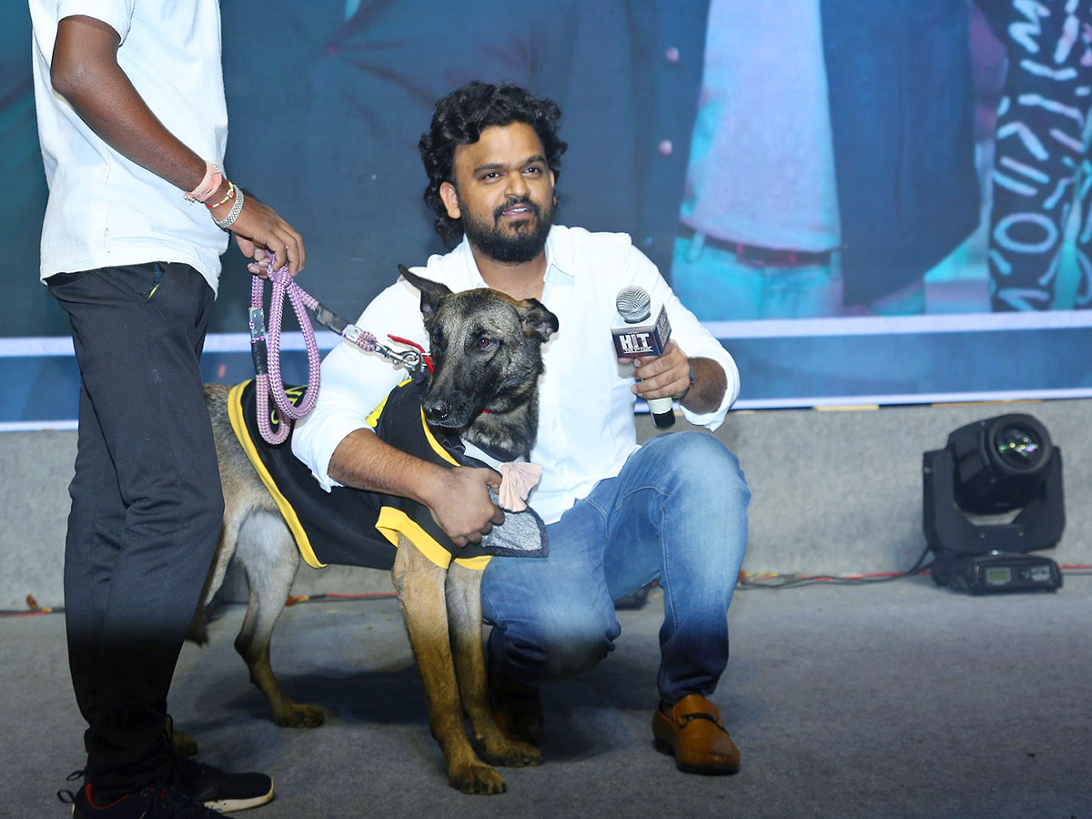 Hit 2 Movie Success Celebrations - Sakshi11