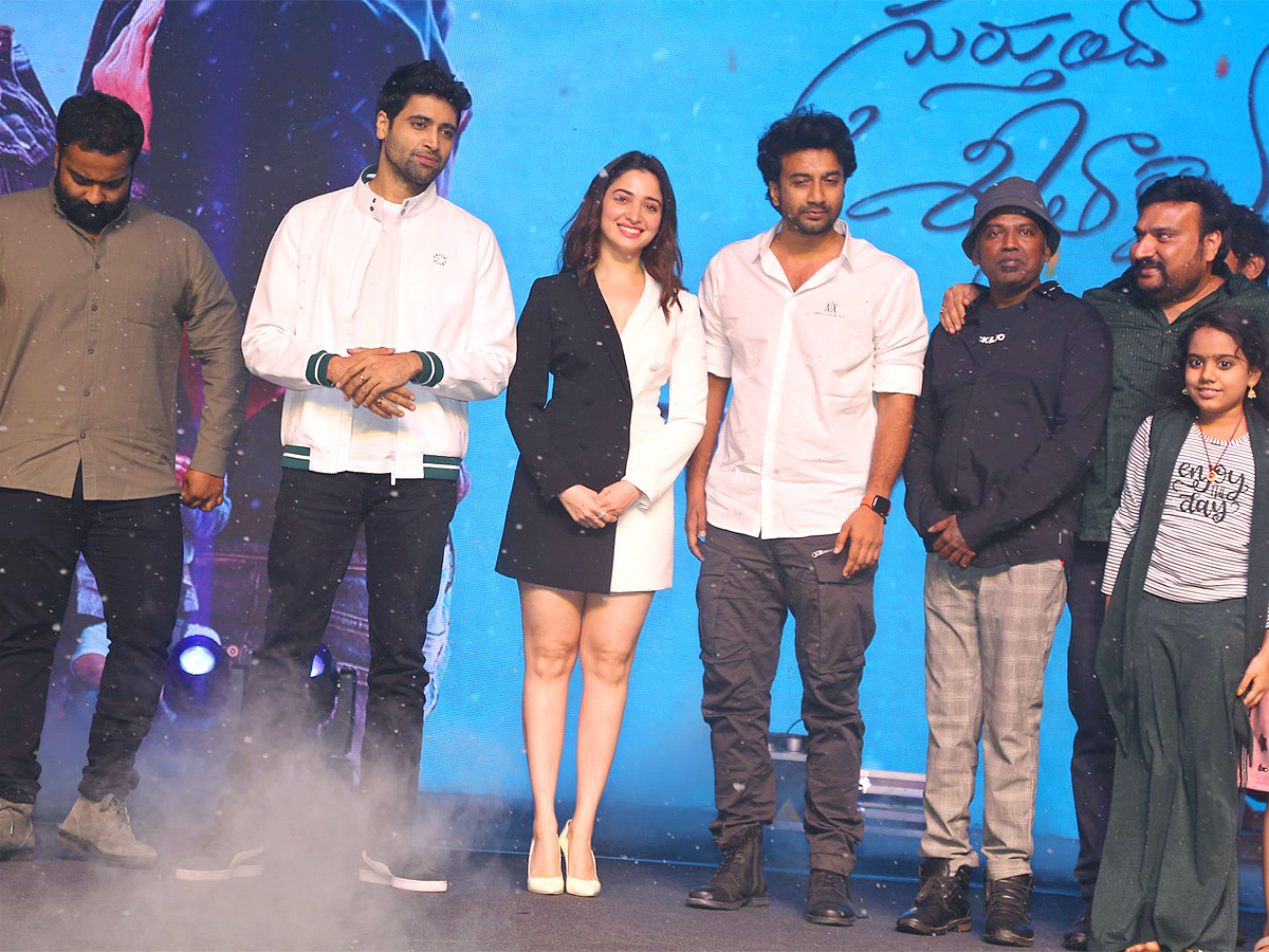 Gurthunda Seethakalam Pre Release Stills  - Sakshi2