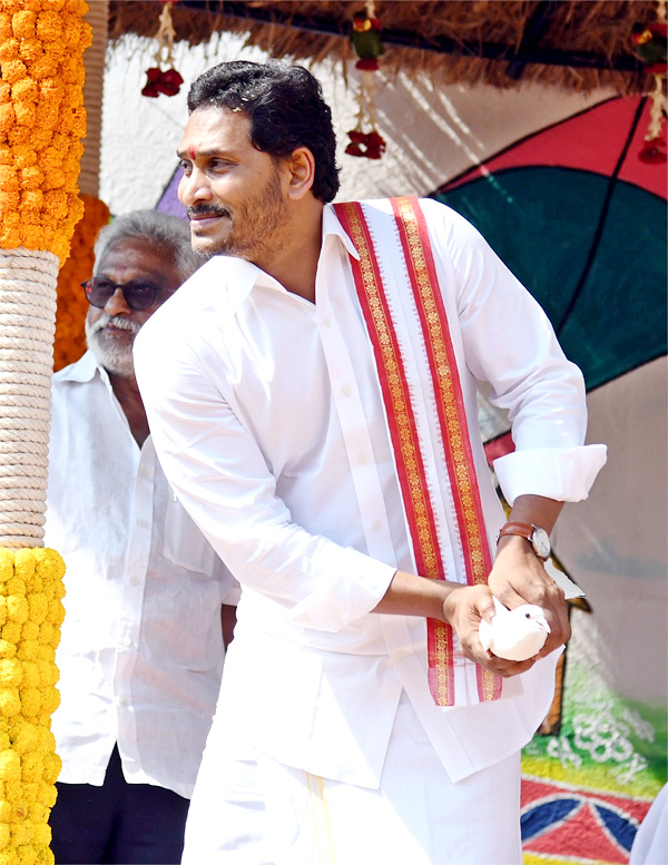 CM YS Jagan Sankranti Celebrations At Tadepalli Camp Office - Sakshi38