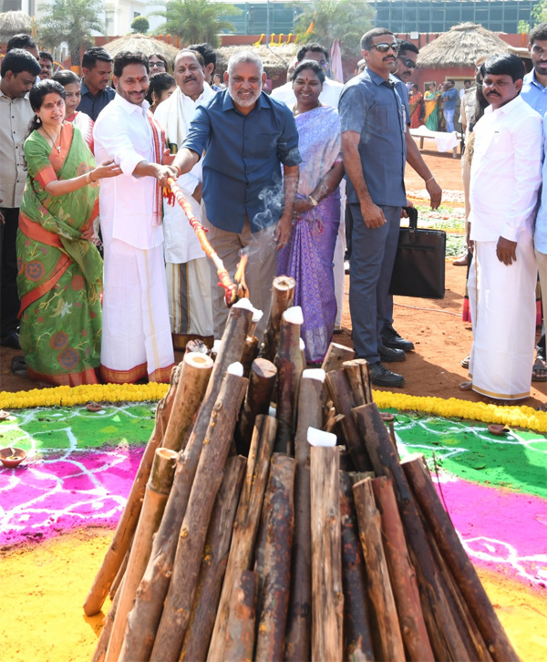 CM YS Jagan Sankranti Celebrations At Tadepalli Camp Office - Sakshi10