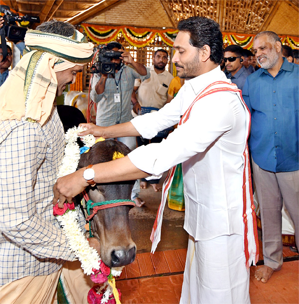 CM YS Jagan Sankranti Celebrations At Tadepalli Camp Office - Sakshi44