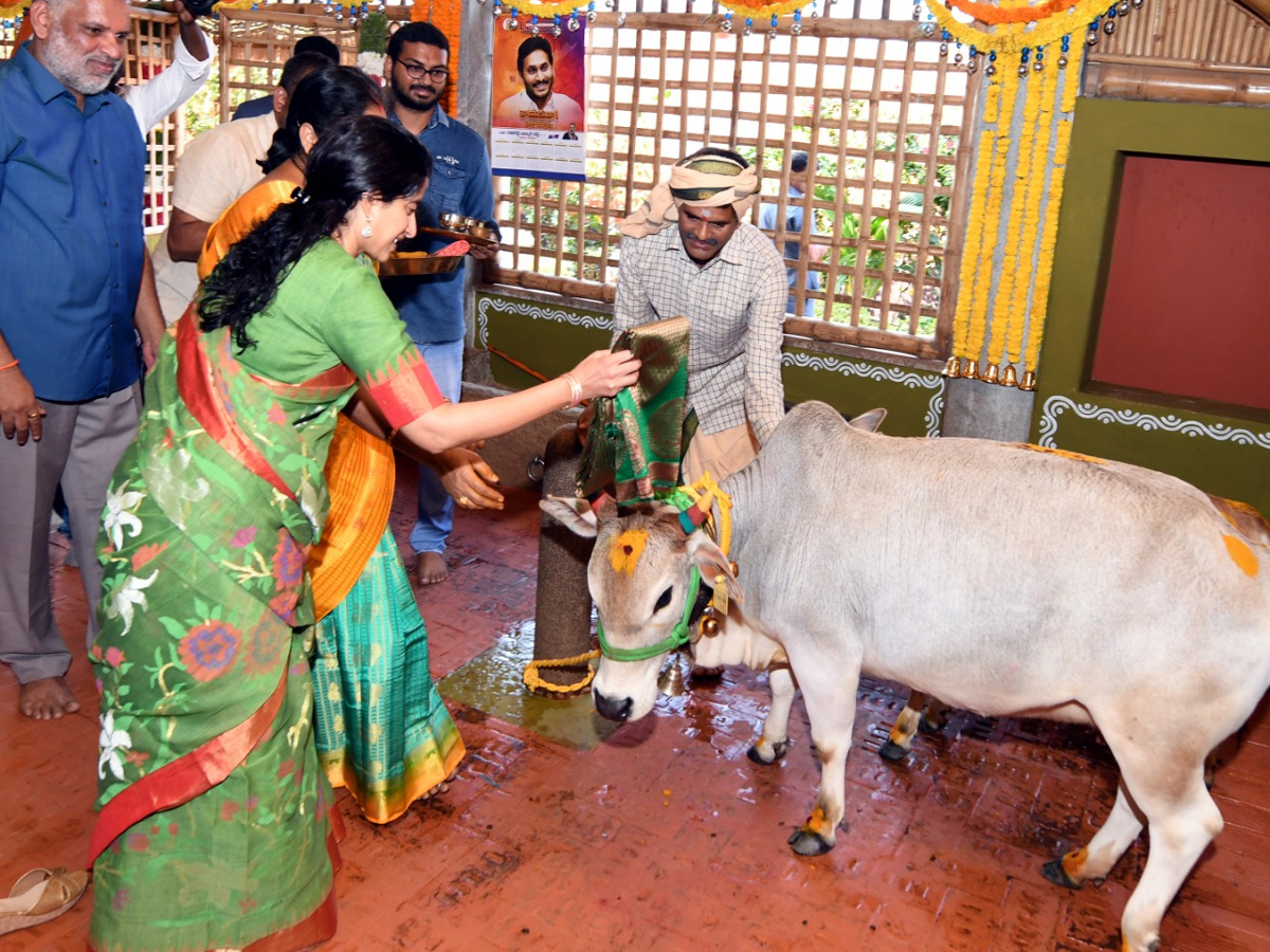 CM YS Jagan Sankranti Celebrations At Tadepalli Camp Office - Sakshi24