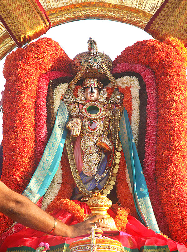Ratha Saptami 2023 Celebrations at Tirumala Tirupati Temple - Sakshi22