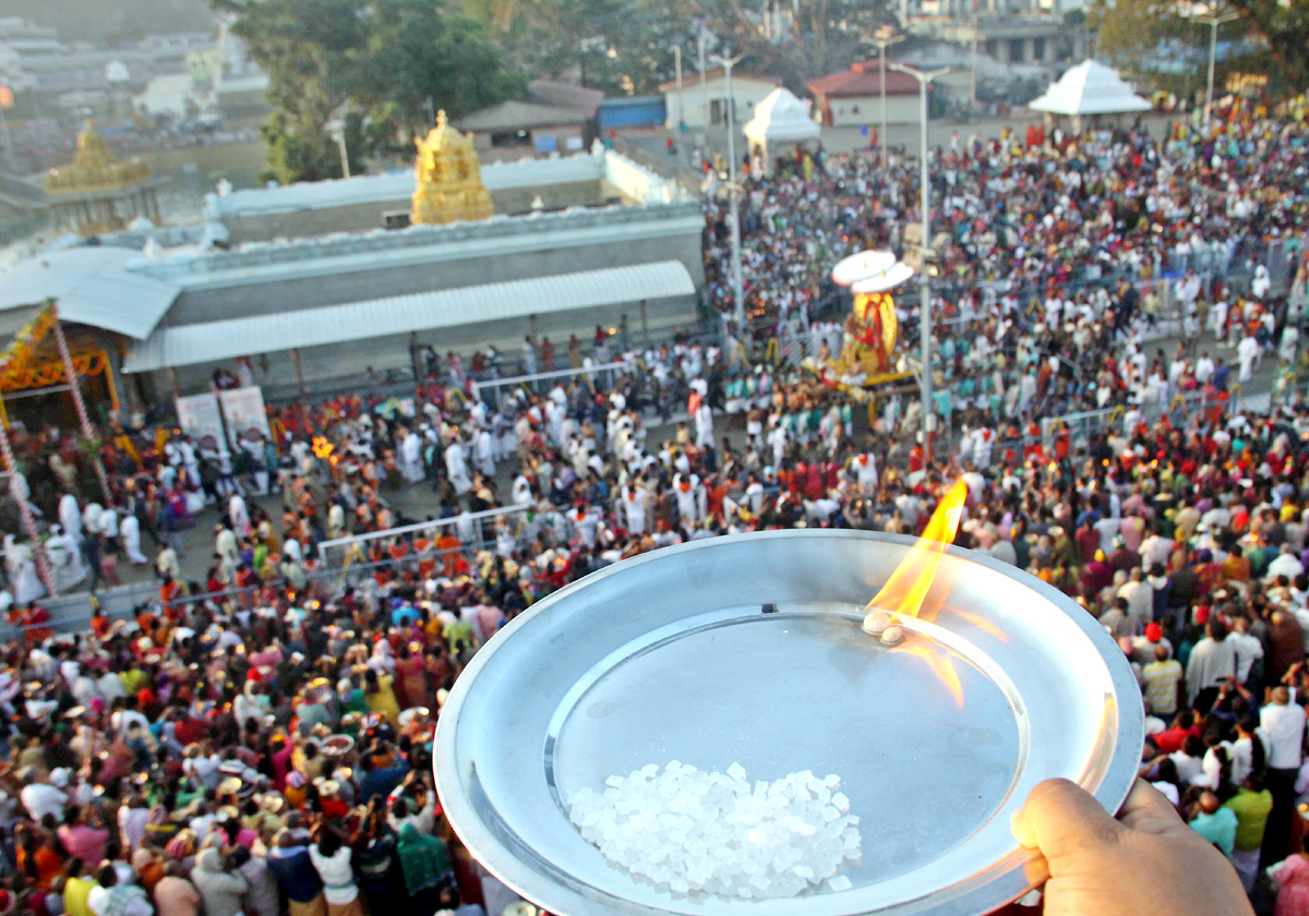 Ratha Saptami 2023 Celebrations at Tirumala Tirupati Temple - Sakshi11