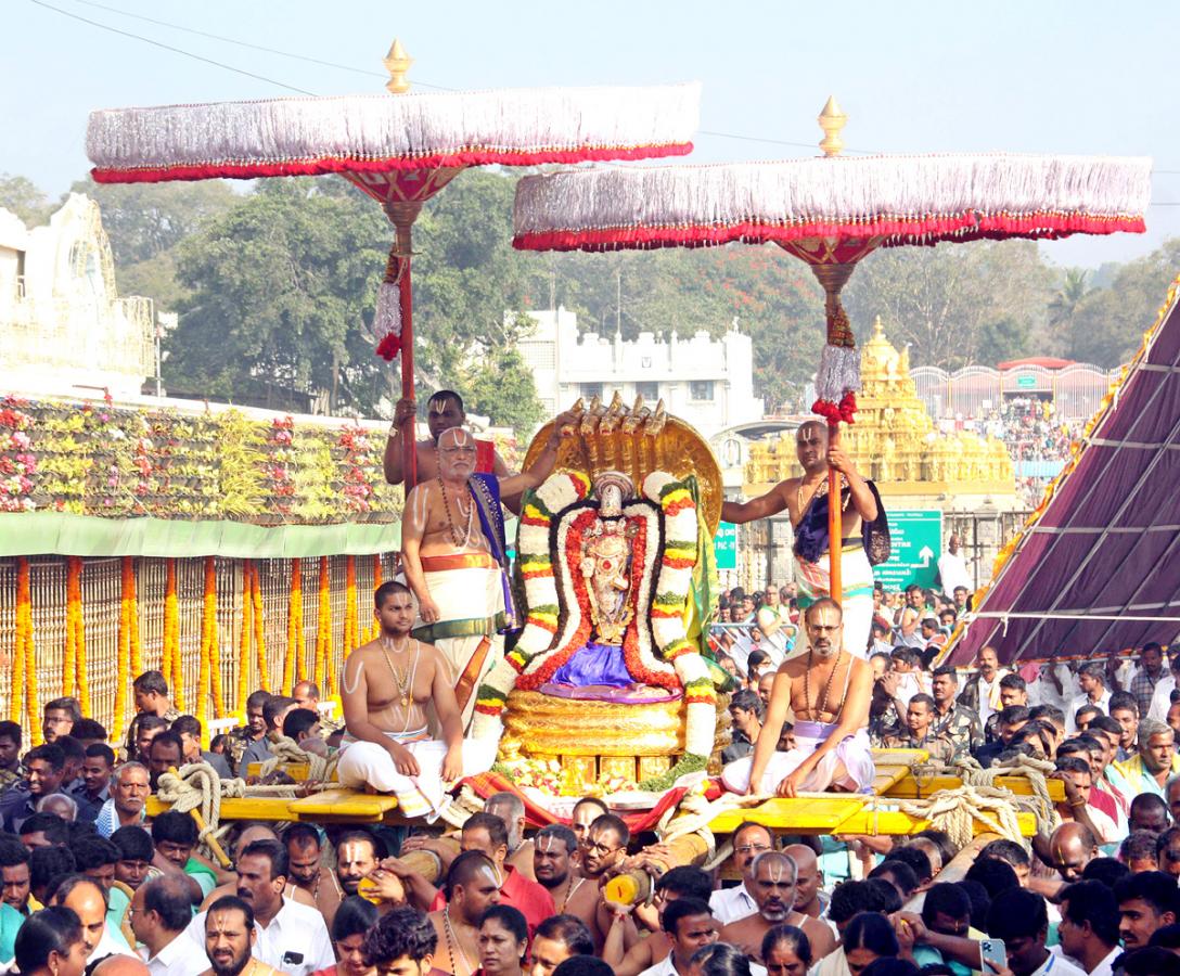 Ratha Saptami 2023 Celebrations at Tirumala Tirupati Temple - Sakshi22