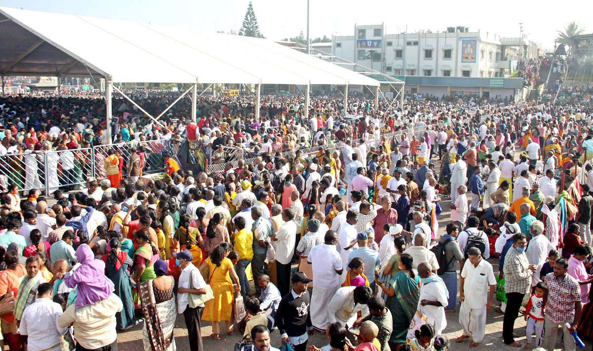 Ratha Saptami 2023 Celebrations at Tirumala Tirupati Temple - Sakshi23