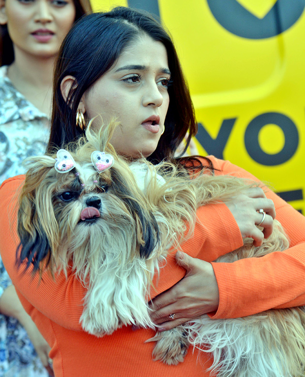 Pet Grooming Van Photos - Sakshi11