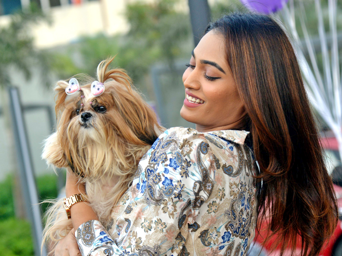 Pet Grooming Van Photos - Sakshi2
