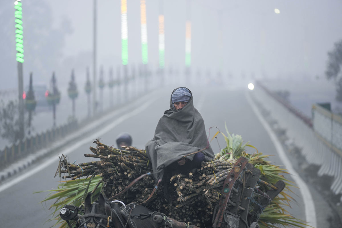 Cold wave continues in Delhi - Sakshi20