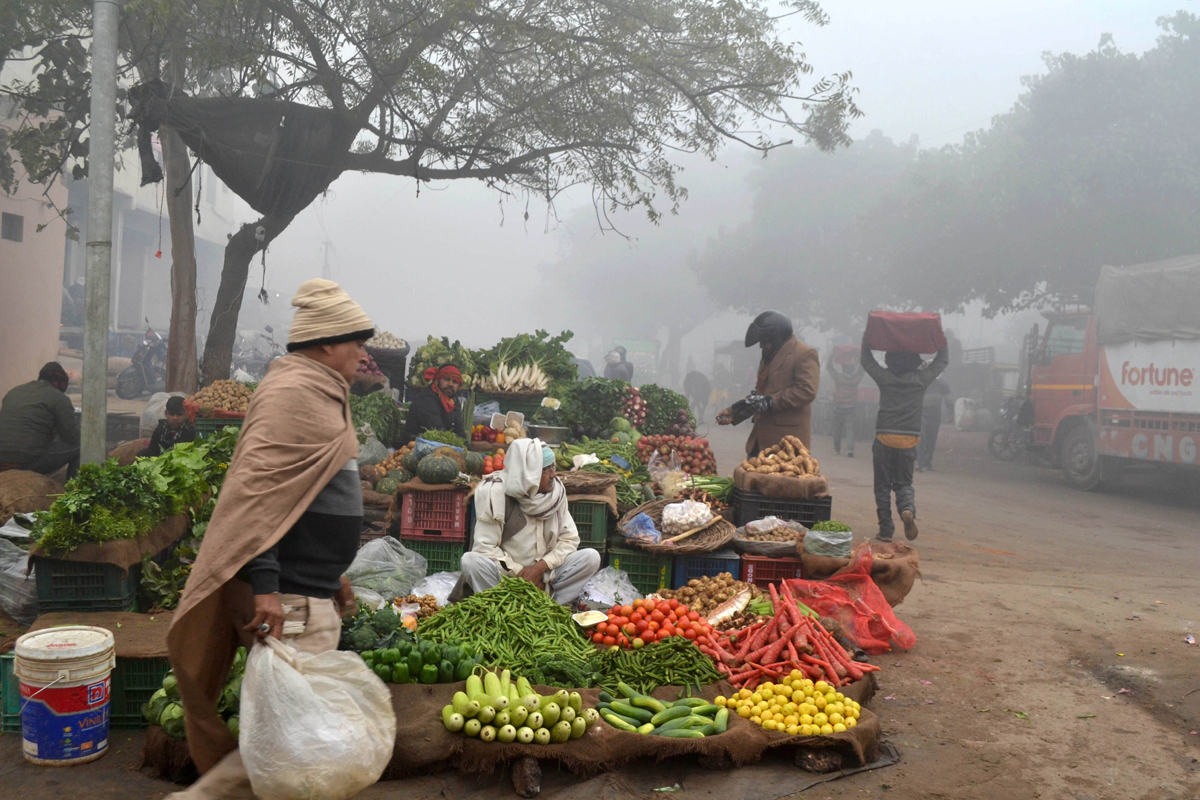 Cold wave continues in Delhi - Sakshi29