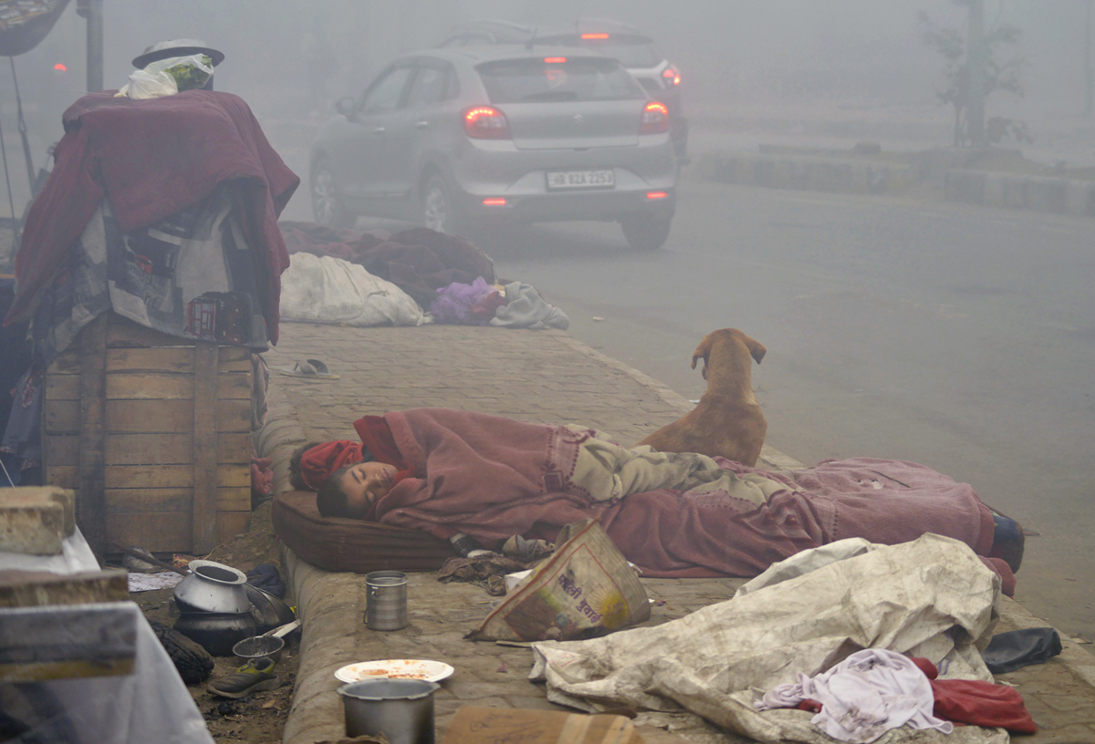 Cold wave continues in Delhi - Sakshi31