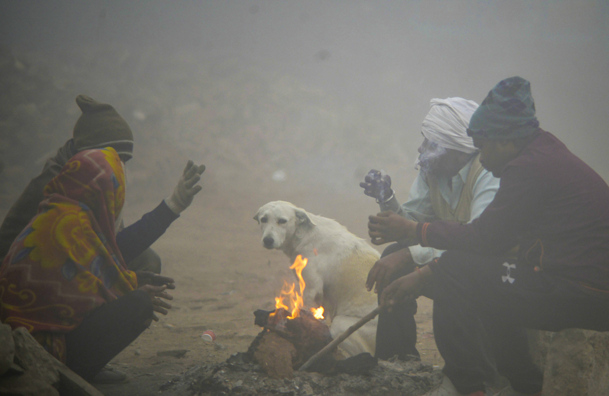 Cold wave continues in Delhi - Sakshi1