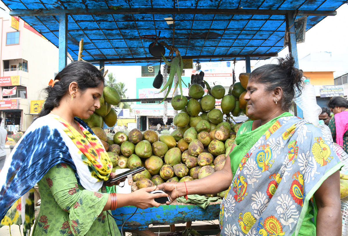 YSR Pension Kanuka Distribution In AP - Sakshi13