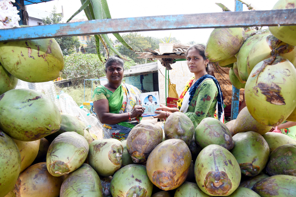 YSR Pension Kanuka Distribution In AP - Sakshi15