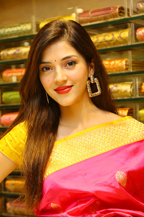 Honey Rose Mehreen At Zahirabad Shopping Mall Opening Photos - Sakshi13