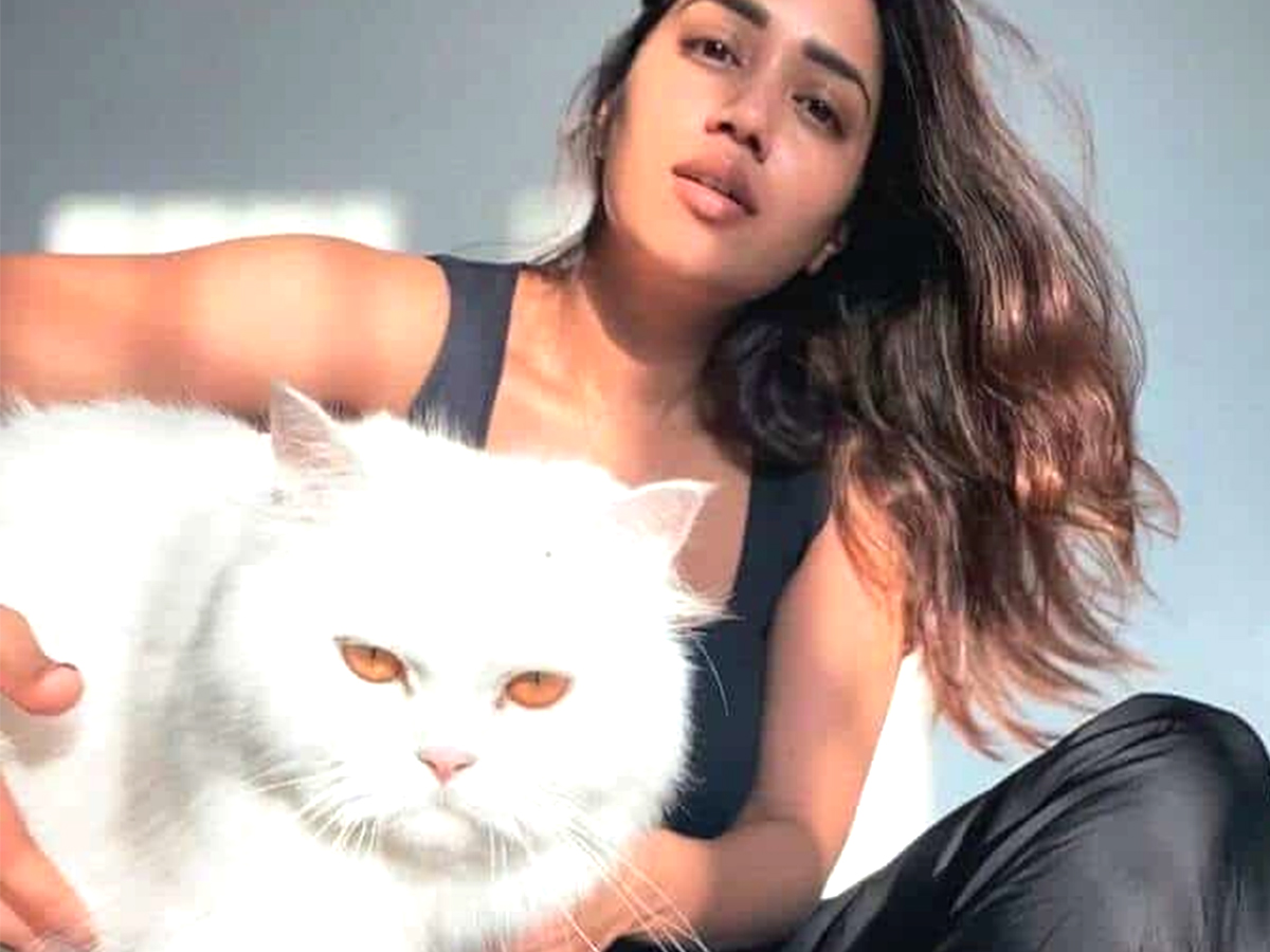 Tollywood Celebrities and Their Dog Photos - Sakshi9