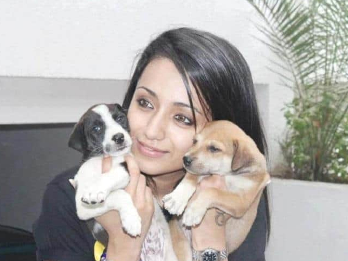 Tollywood Celebrities and Their Dog Photos - Sakshi20