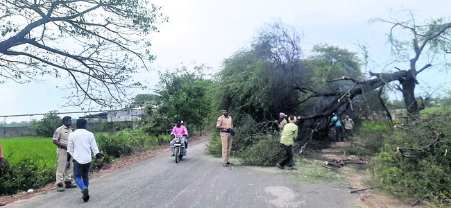 రుద్రూర్– కోటగిరి రహదారిపై పడ్డ చెట్టు3