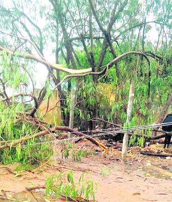 బోరంపల్లి ఎస్సీ కాలనీలో నేలను తాకిన వైర్లు1