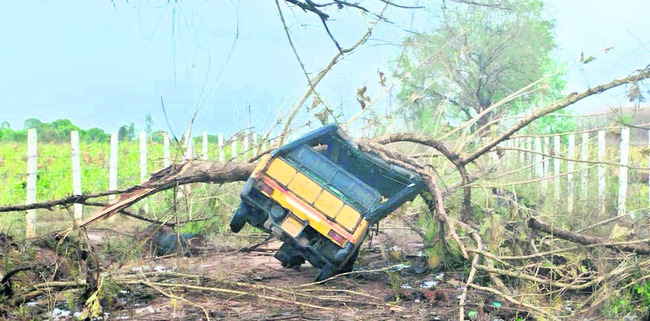జీలుగుమిల్లిలో ఆటోపై విరిగిపడిన చెట్టుకొమ్మ  2