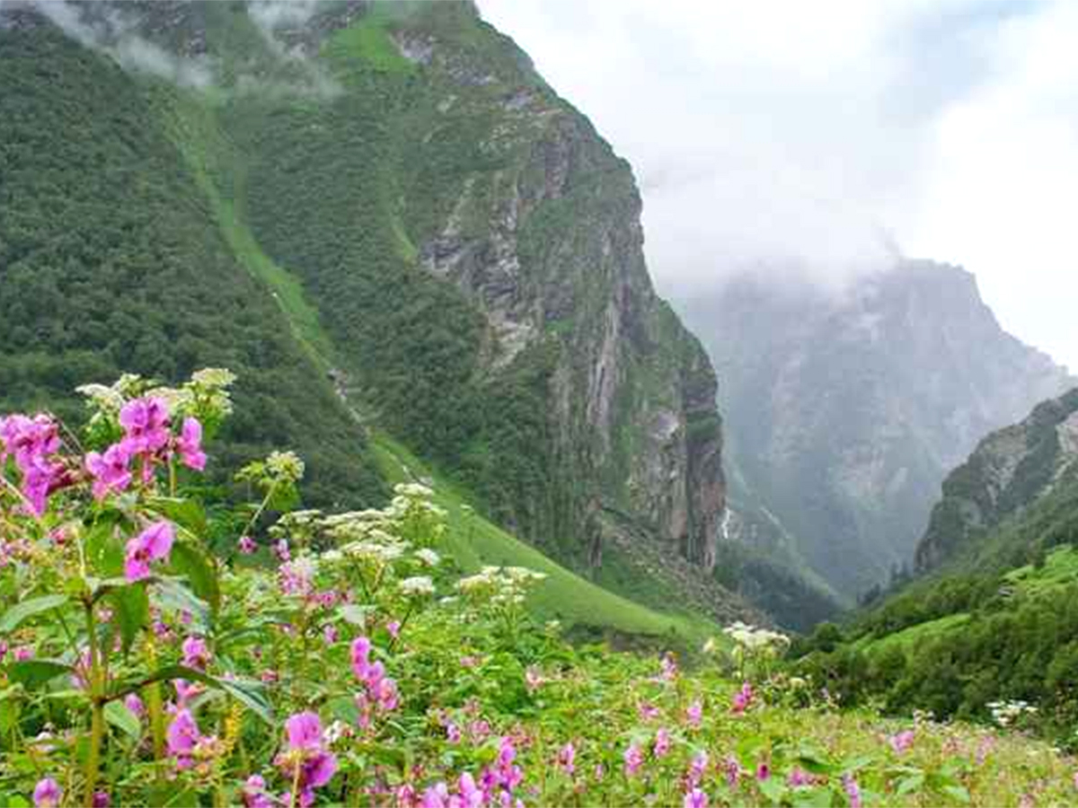 Top 10 Best Nature Places In India Photos - Sakshi2