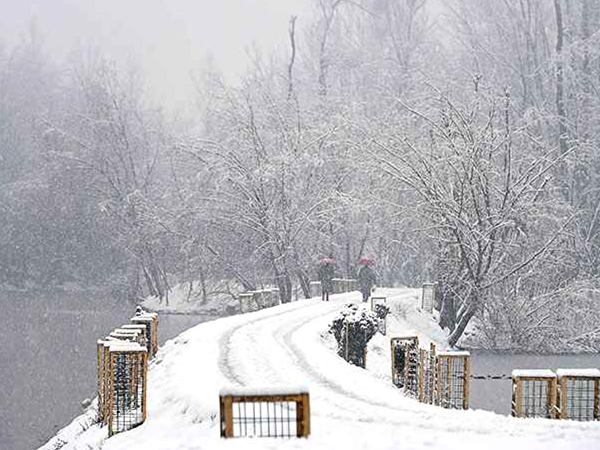 Top 10 Best Nature Places In India Photos - Sakshi6
