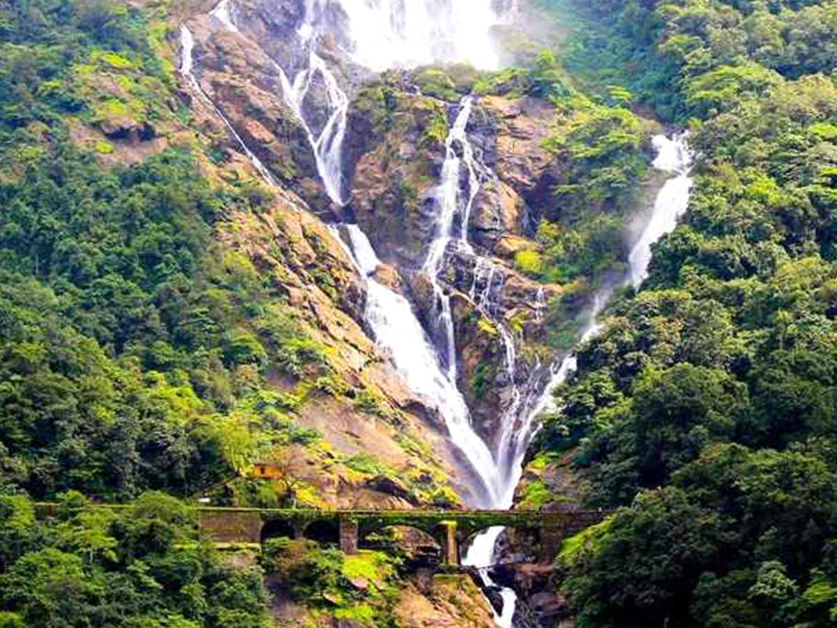 Top 10 Best Nature Places In India Photos - Sakshi10