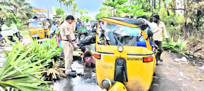 ఆటోపై తాడిచెట్టు కూలడంతో ధ్వంసమైన దృశ్యం 1