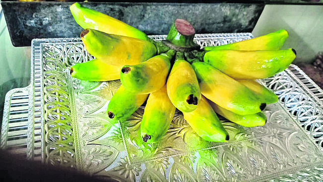 అరటిపండ్లు 2