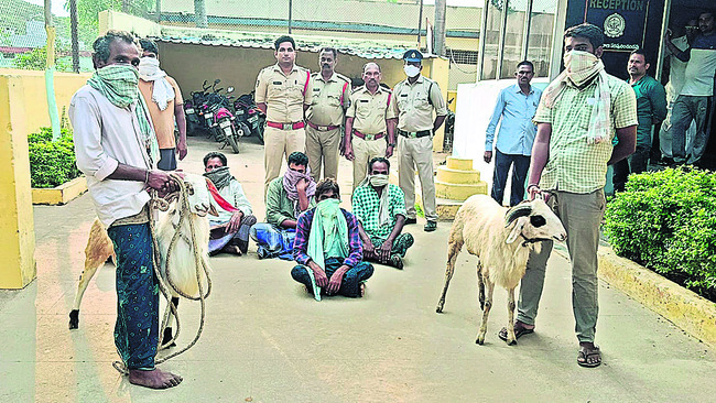 పందెంరాయుళ్లతో పాటు పొట్టేళ్లను
అదుపులోకి తీసుకున్న పోలీసులు1