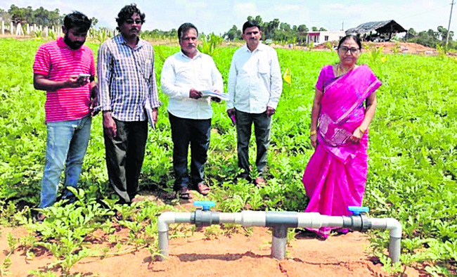 డ్రిప్ ఇరిగేషన్ను పరిశీలిస్తున్న
లక్ష్మీనారాయణ 1