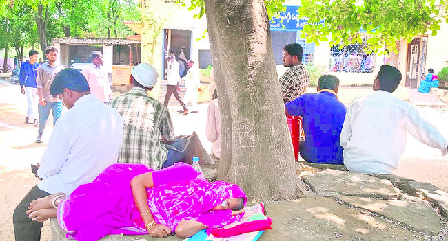 చెట్టుకింద నిద్రపోతున్న మహిళ1