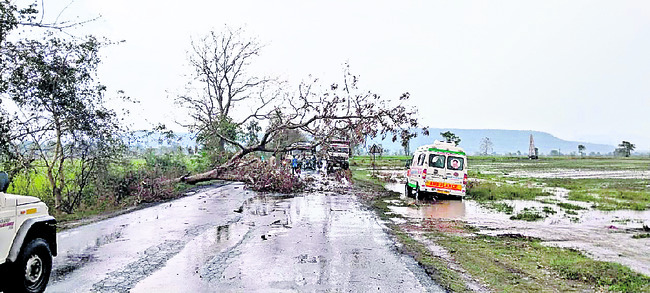 వెదుల్ల చెరువు వద్ద రోడ్డుపై పడిపోయిన చెట్టు4