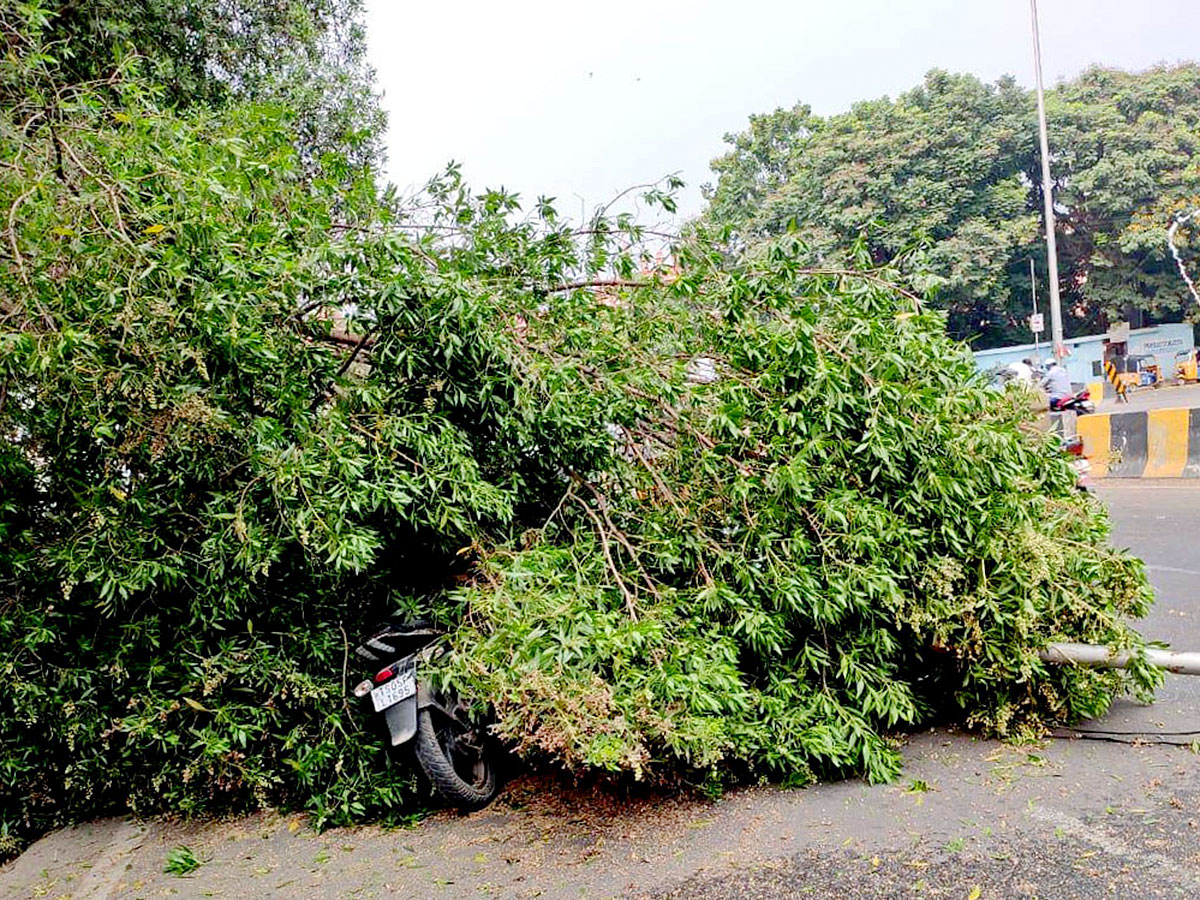 Heavy Rain in Hyderabad Pics - Sakshi10