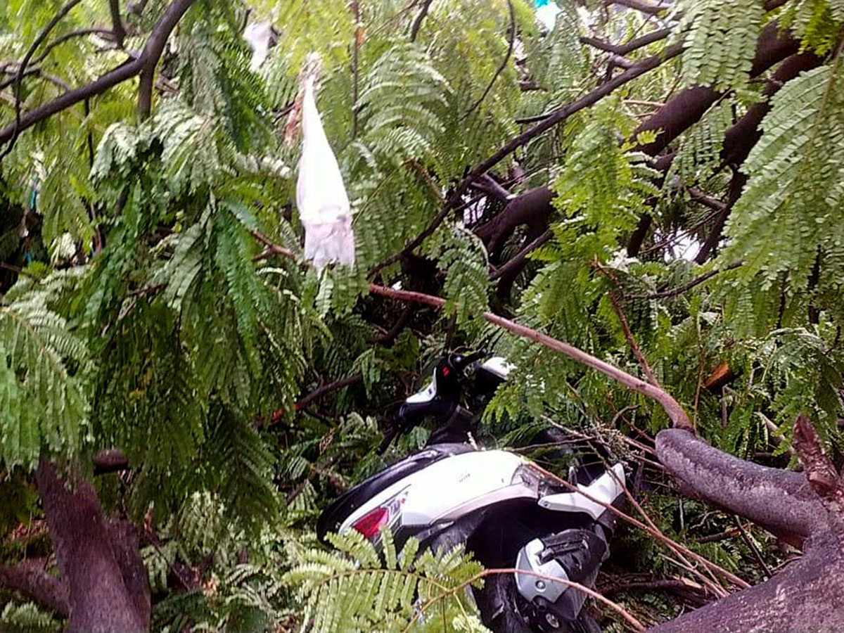 Heavy Rain in Hyderabad Pics - Sakshi3