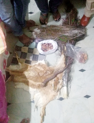 పట్టుబడ్డ జింక చర్మం(ఫైల్)1