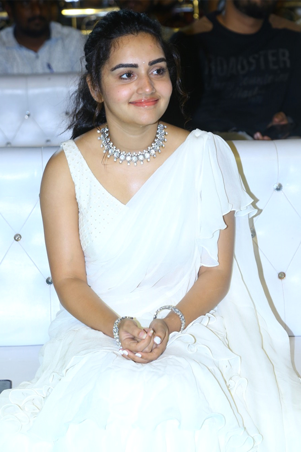 Virupaksha Movie Pre Release Event Photos - Sakshi18